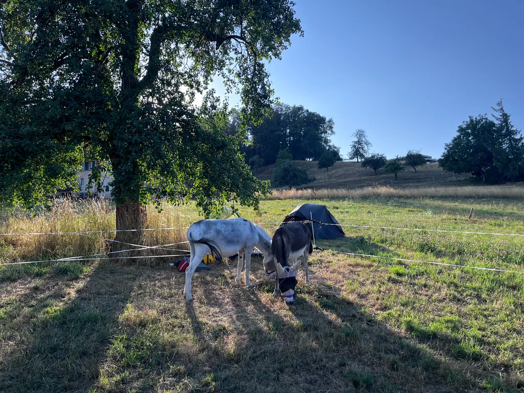Bild von Annelies für den Spot 5195
