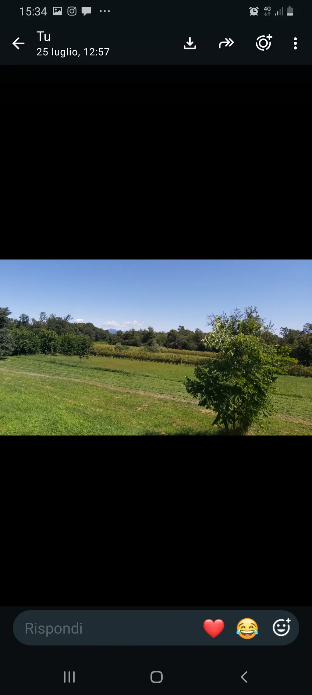 Vista sulla vigna i campi e le montagne