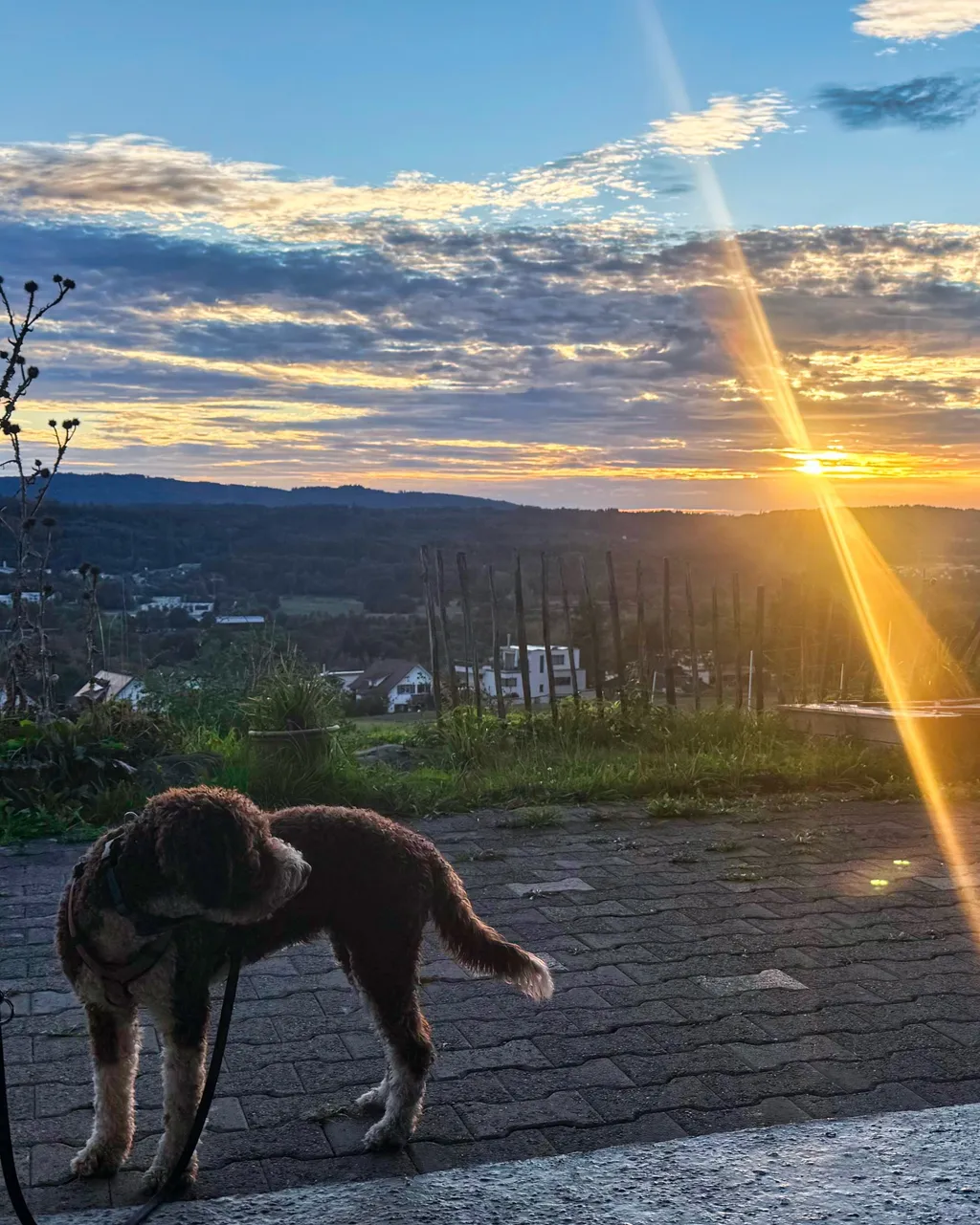 Bild von Tanja für den Spot 223