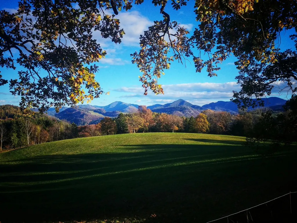 Idyllische Weide in den Voralpen!