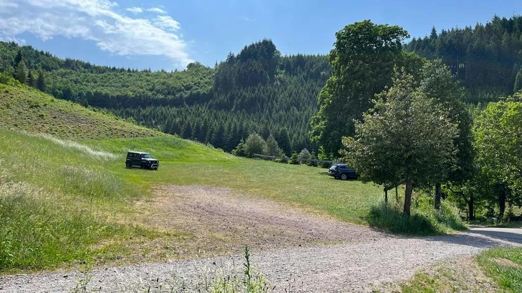 Stellplatz auf der sonnigen Wiese