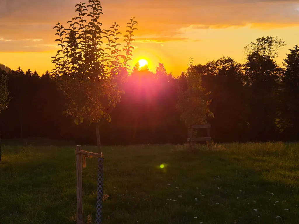 Bild von Yvonne für den Spot 282