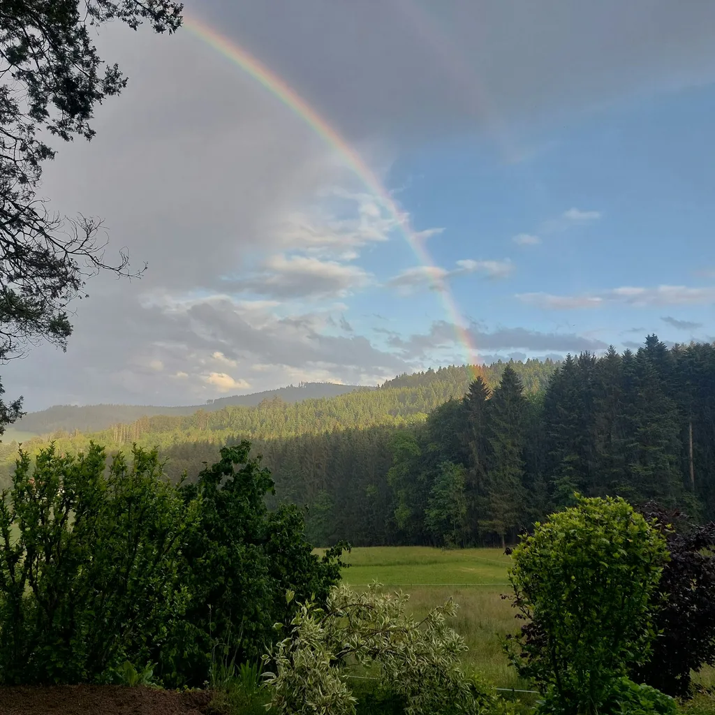 Campen im Tannenmoos