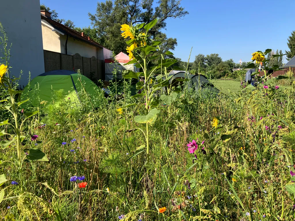 Bild von Kurt für den Spot 1329
