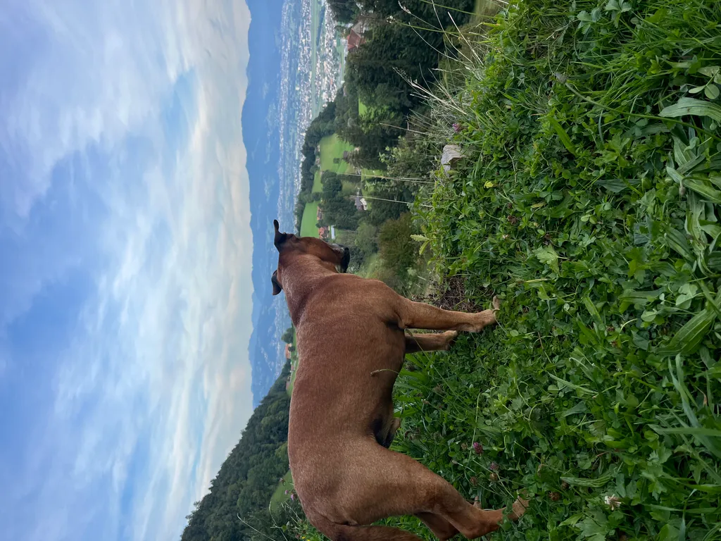 Bild von Roger für den Spot 475