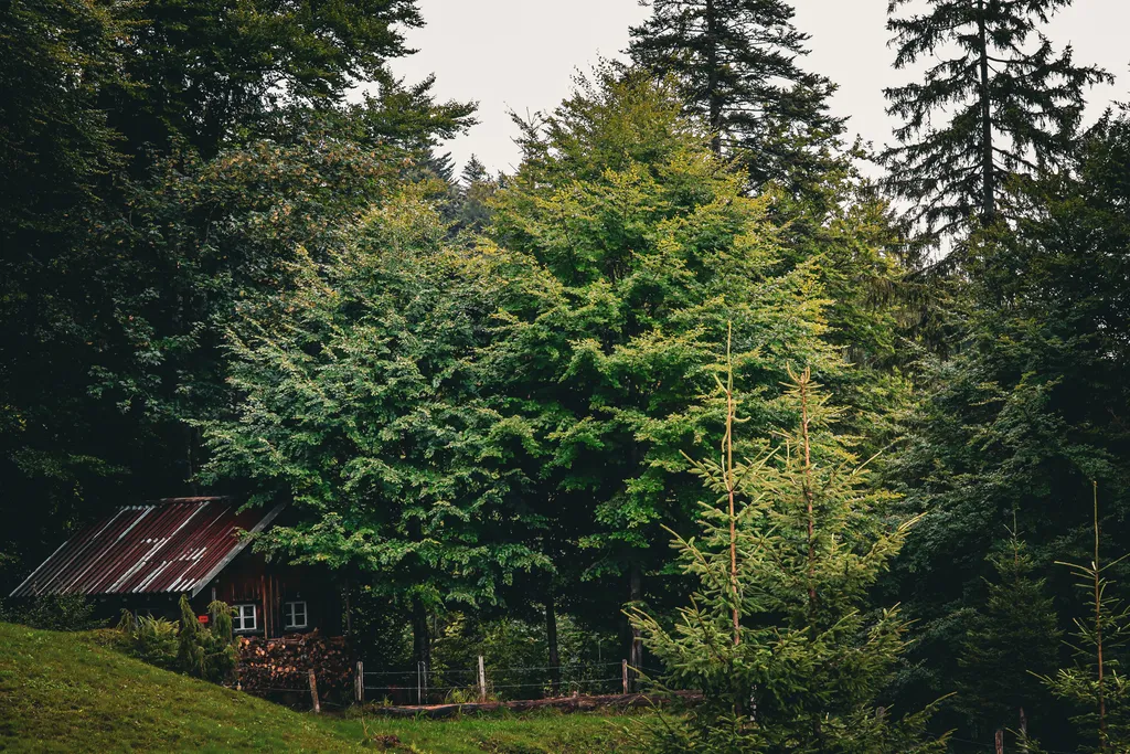 Image de Roxana pour le spot 442