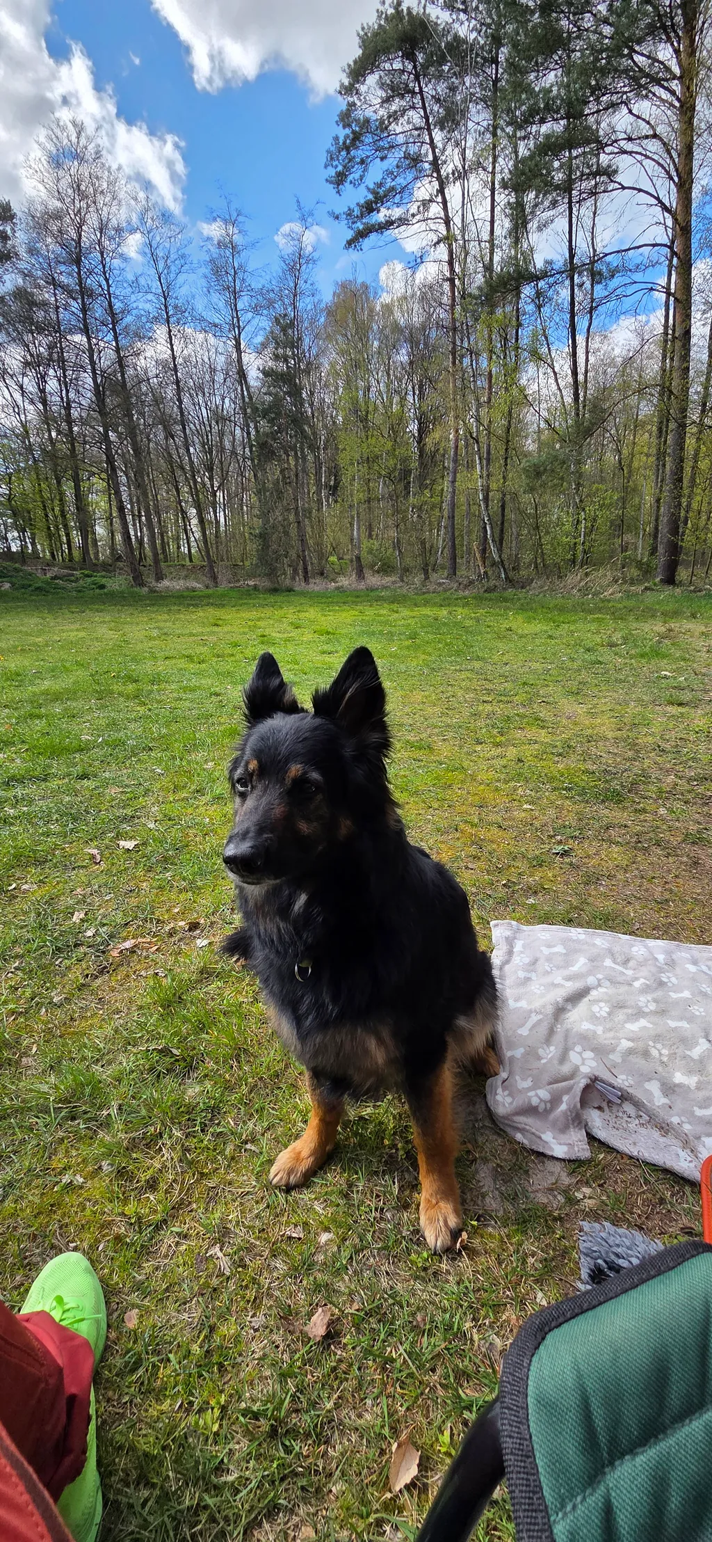 Bild von Karina für den Spot 1649