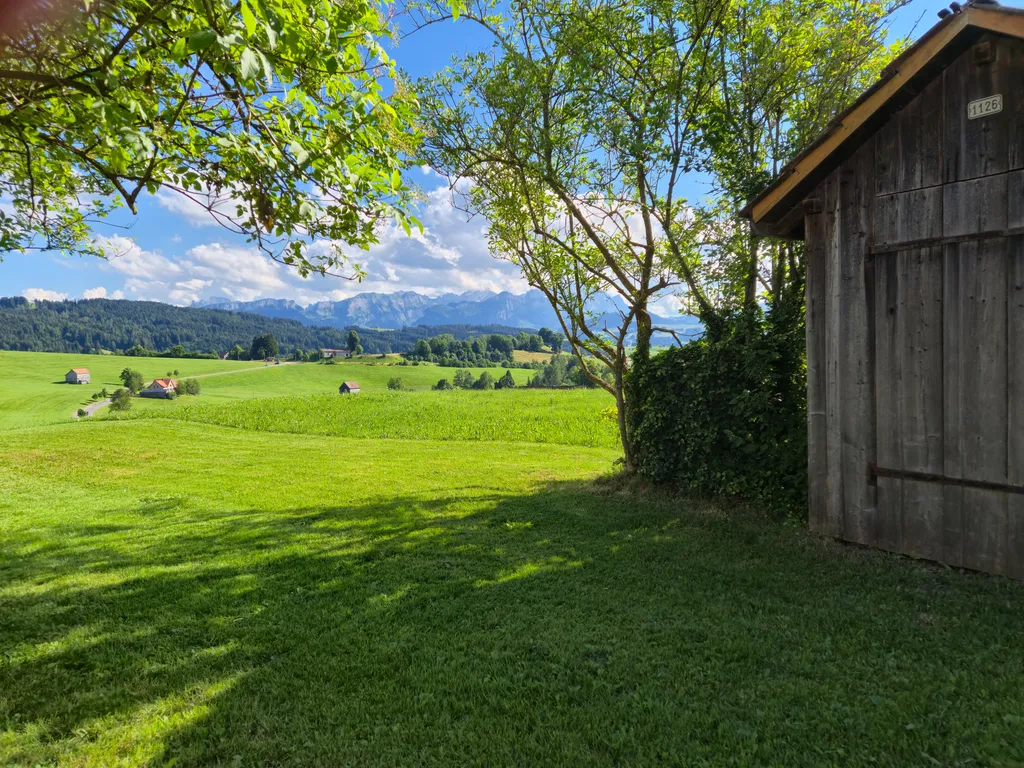 Wiesenglück mit Alpsteinblick