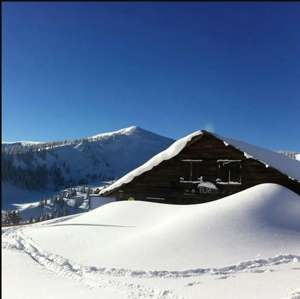 Winter-Märchen auf Alp Cousimbert