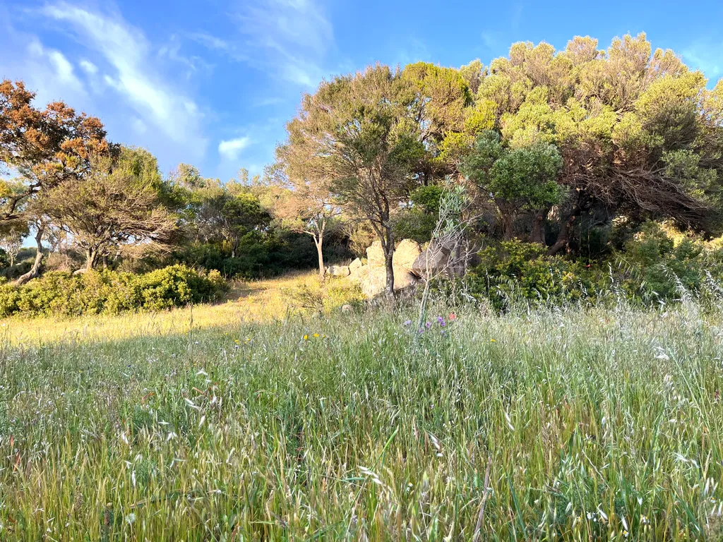 Natur pur im Nordosten Sardiniens