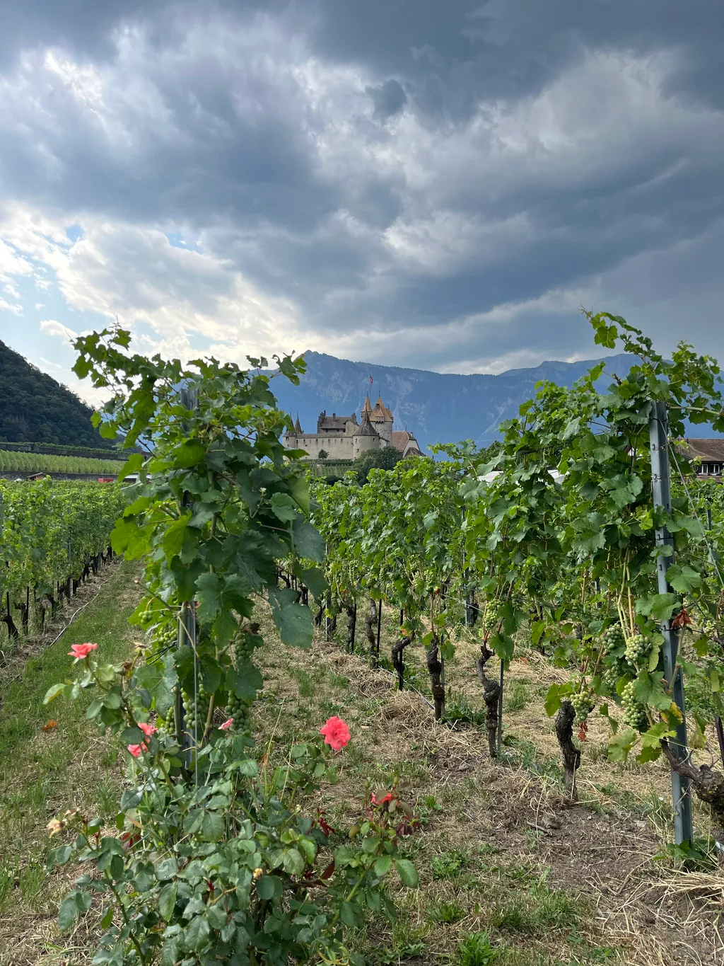 Bild von Juha für den Spot 991