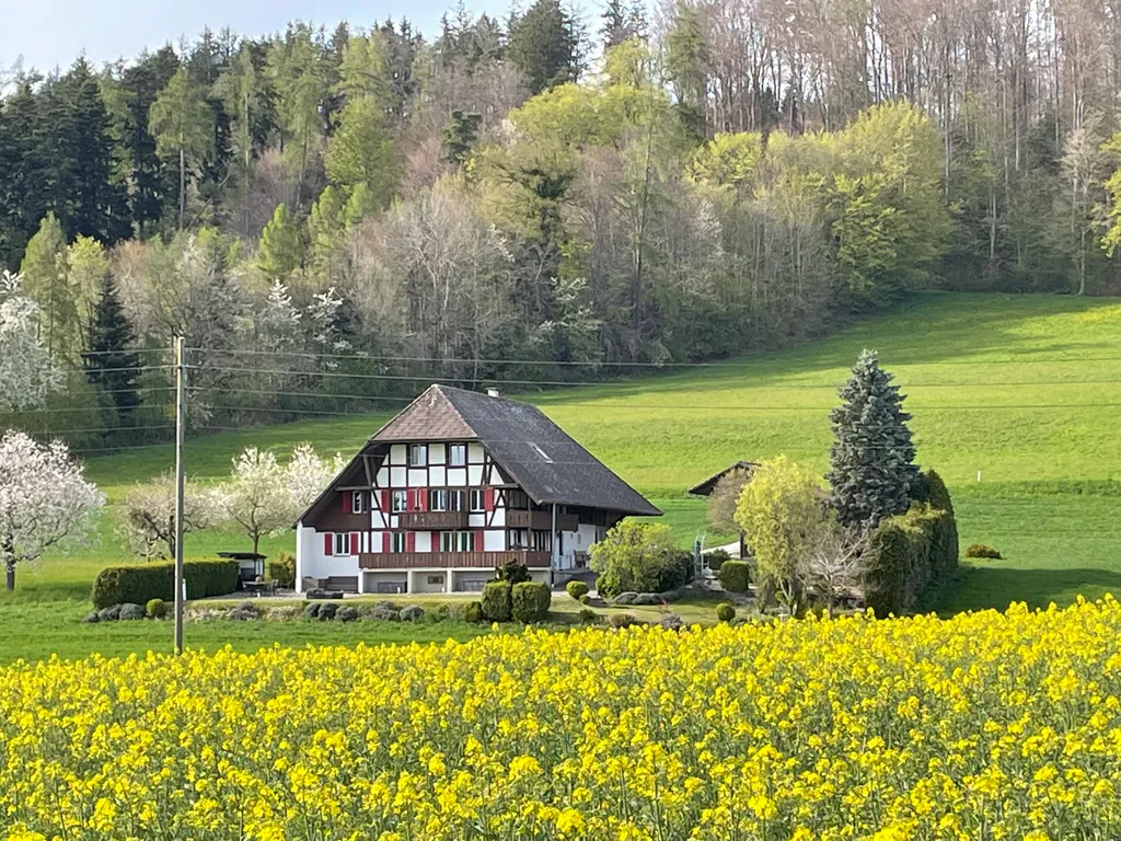 Standplatz mit Alpenblick