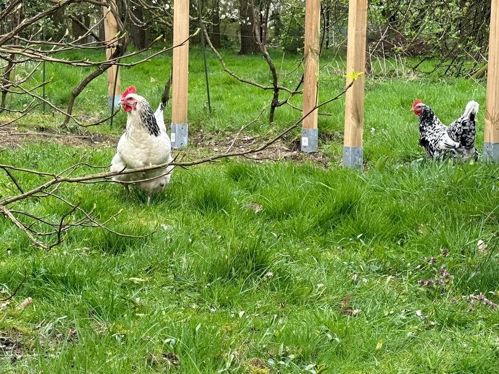 Zelten in der Obstwiese am Kanal