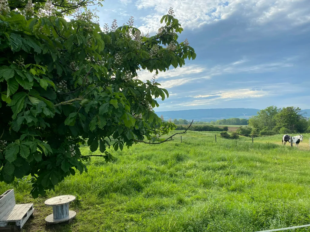 Panoramablick unter Kastanie