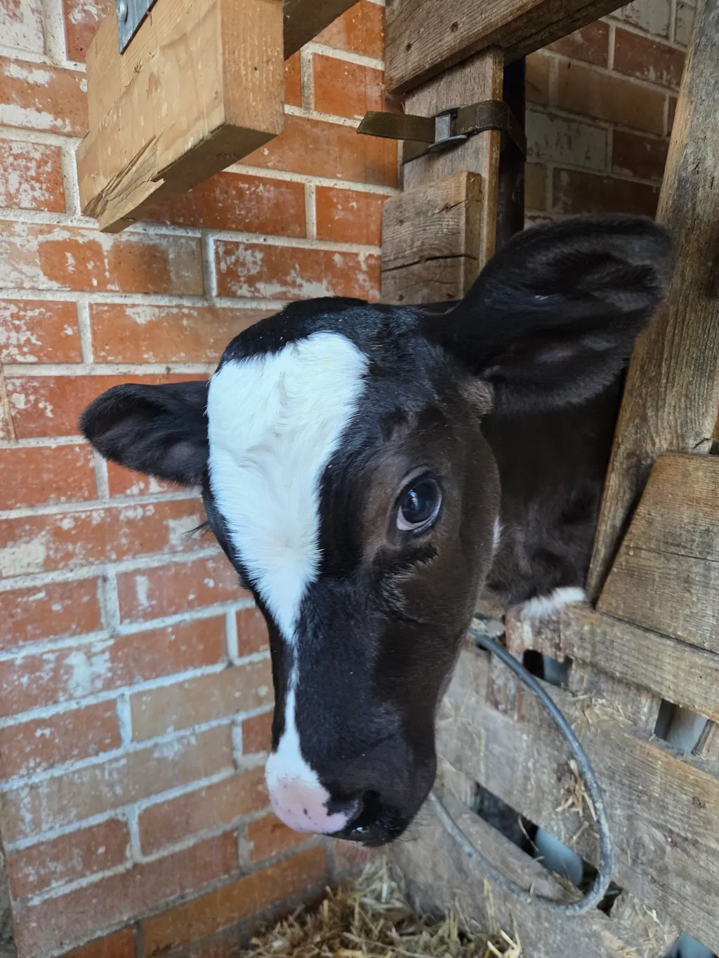 Image by Michèle for spot 4118