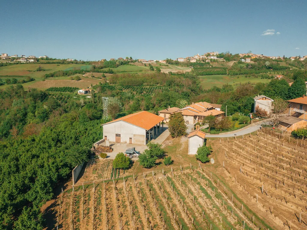 Camp Eraldo Revelli 🍷