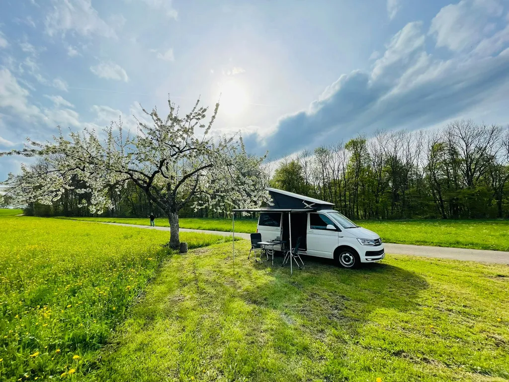 BerginselCamp - am Albtrauf