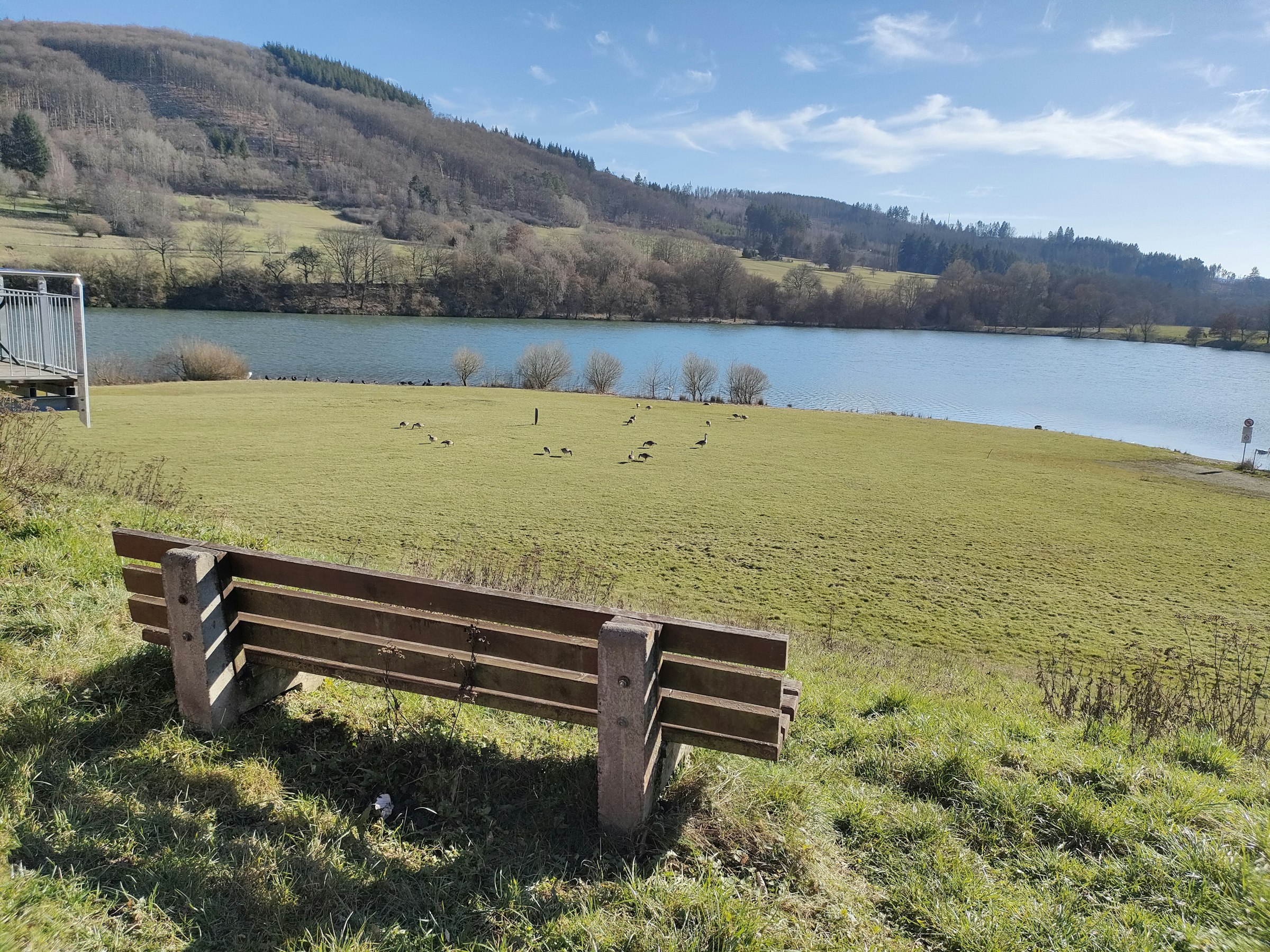 Swannest alone at the lake - Photo 2
