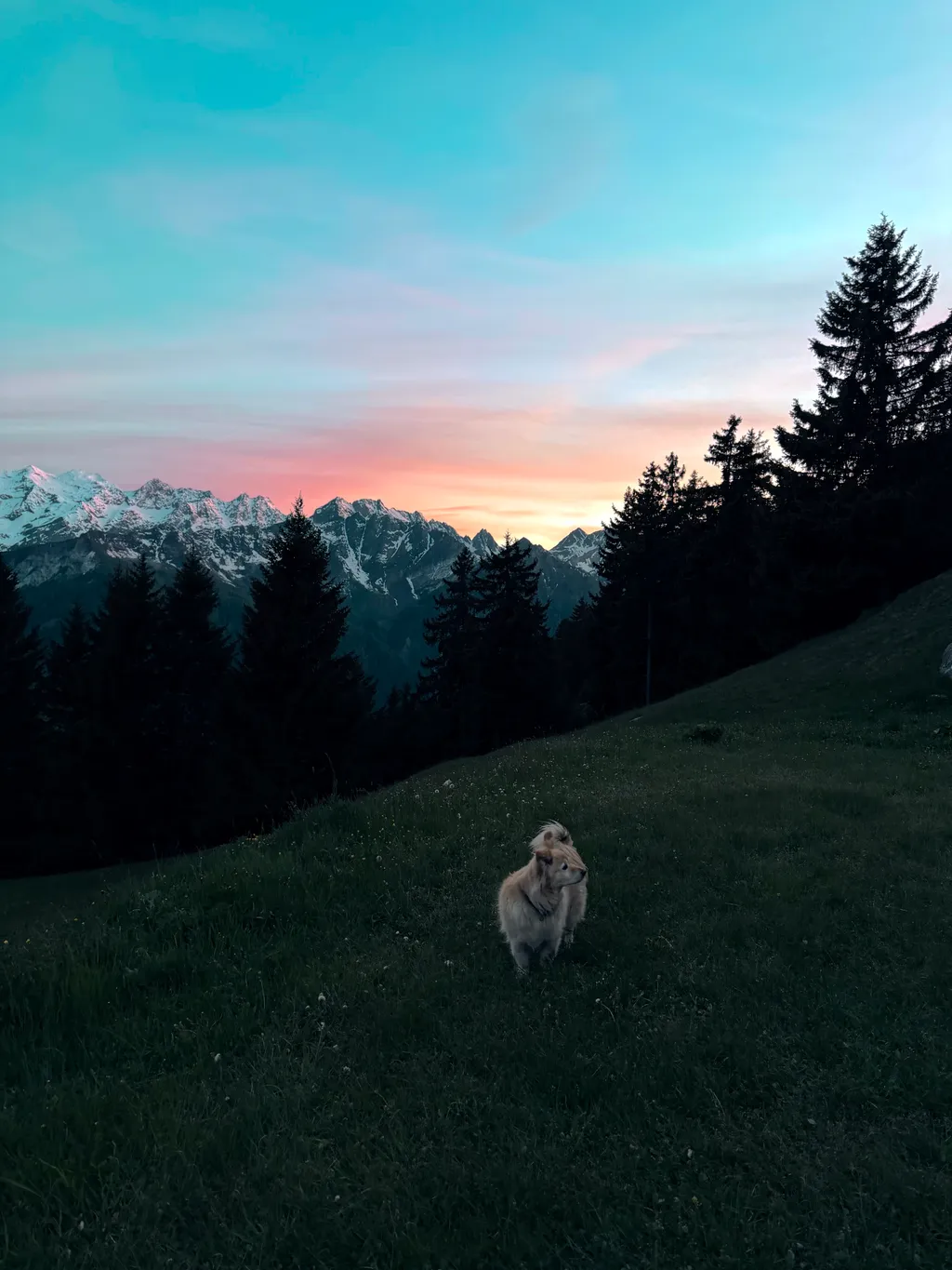 Bild von debora für den Spot 11