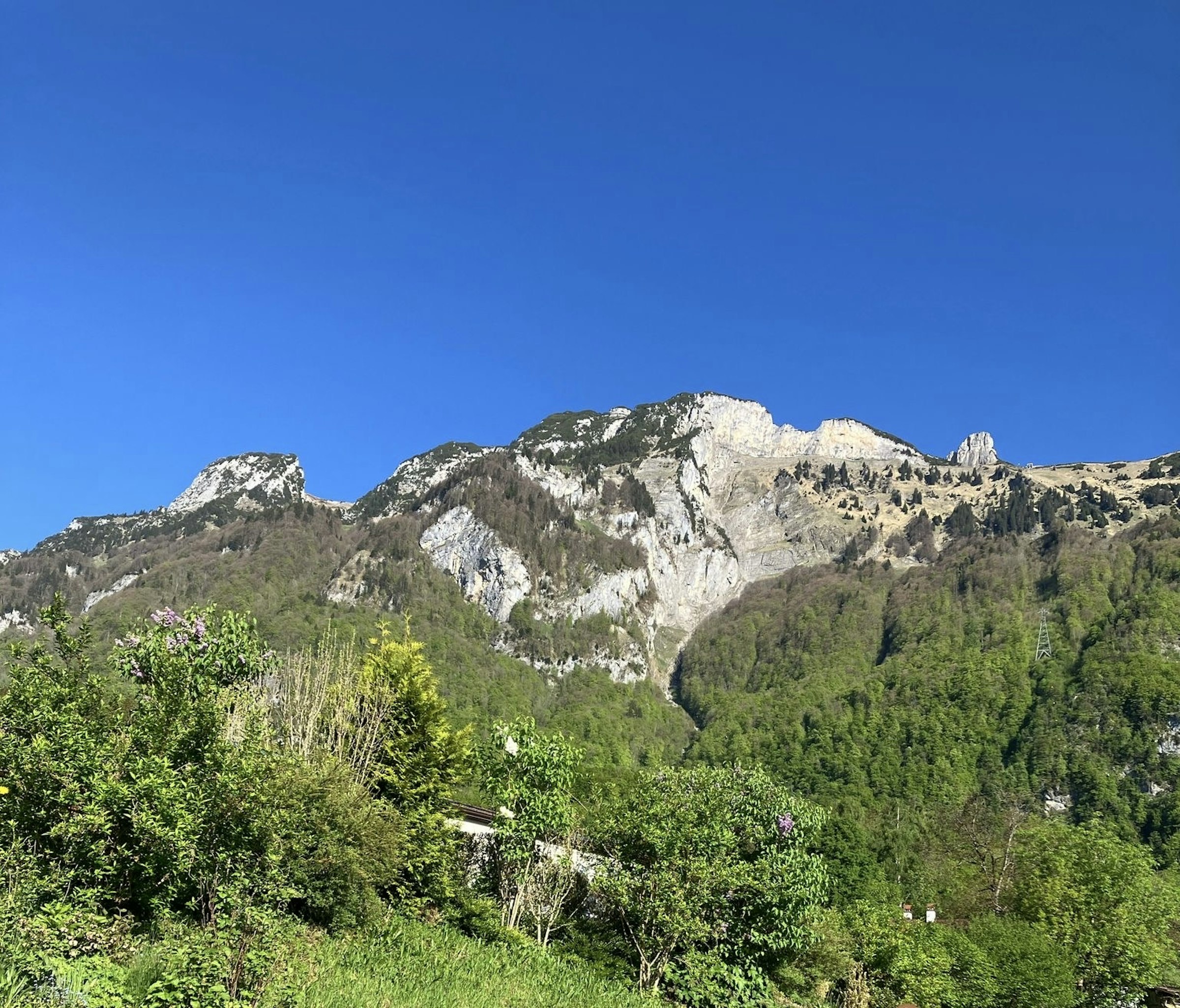 Idyllischer Stellplatz ☀️