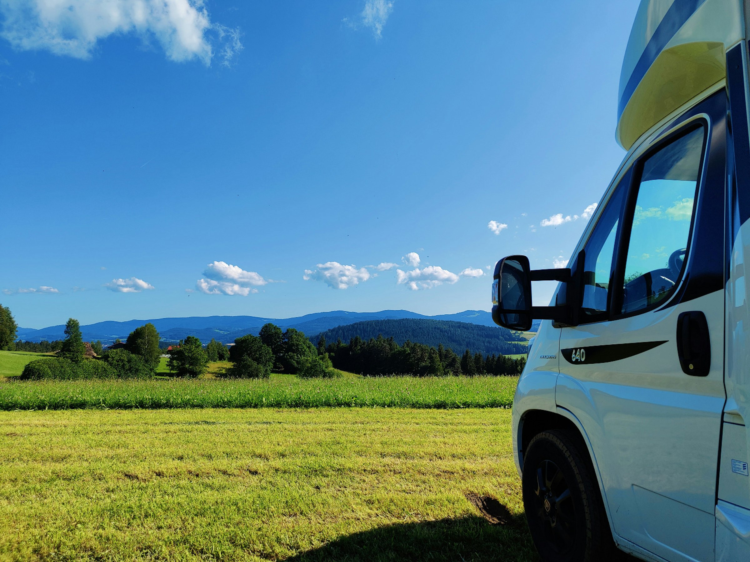 Woid-Wiese mit Ausblick