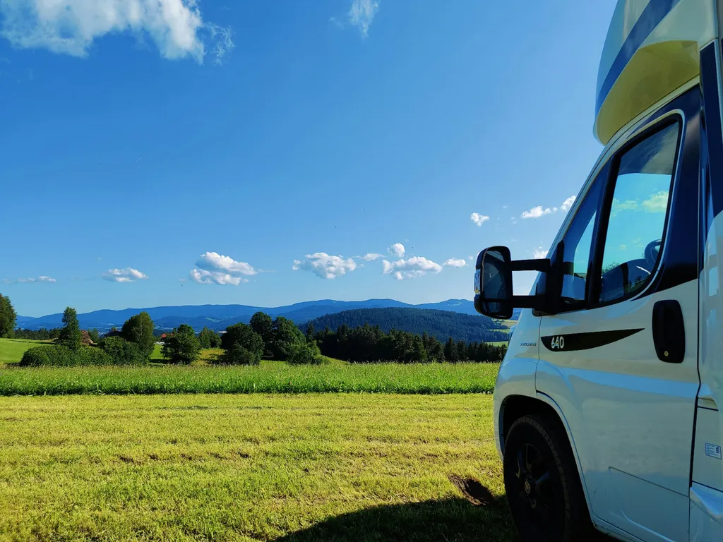 Woid-Wiese mit Ausblick