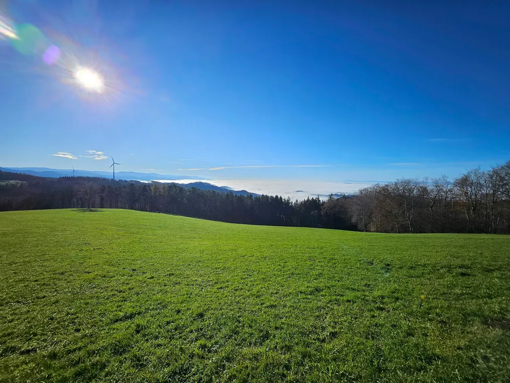 Natur pur – beim Kölble Hof – Windrad