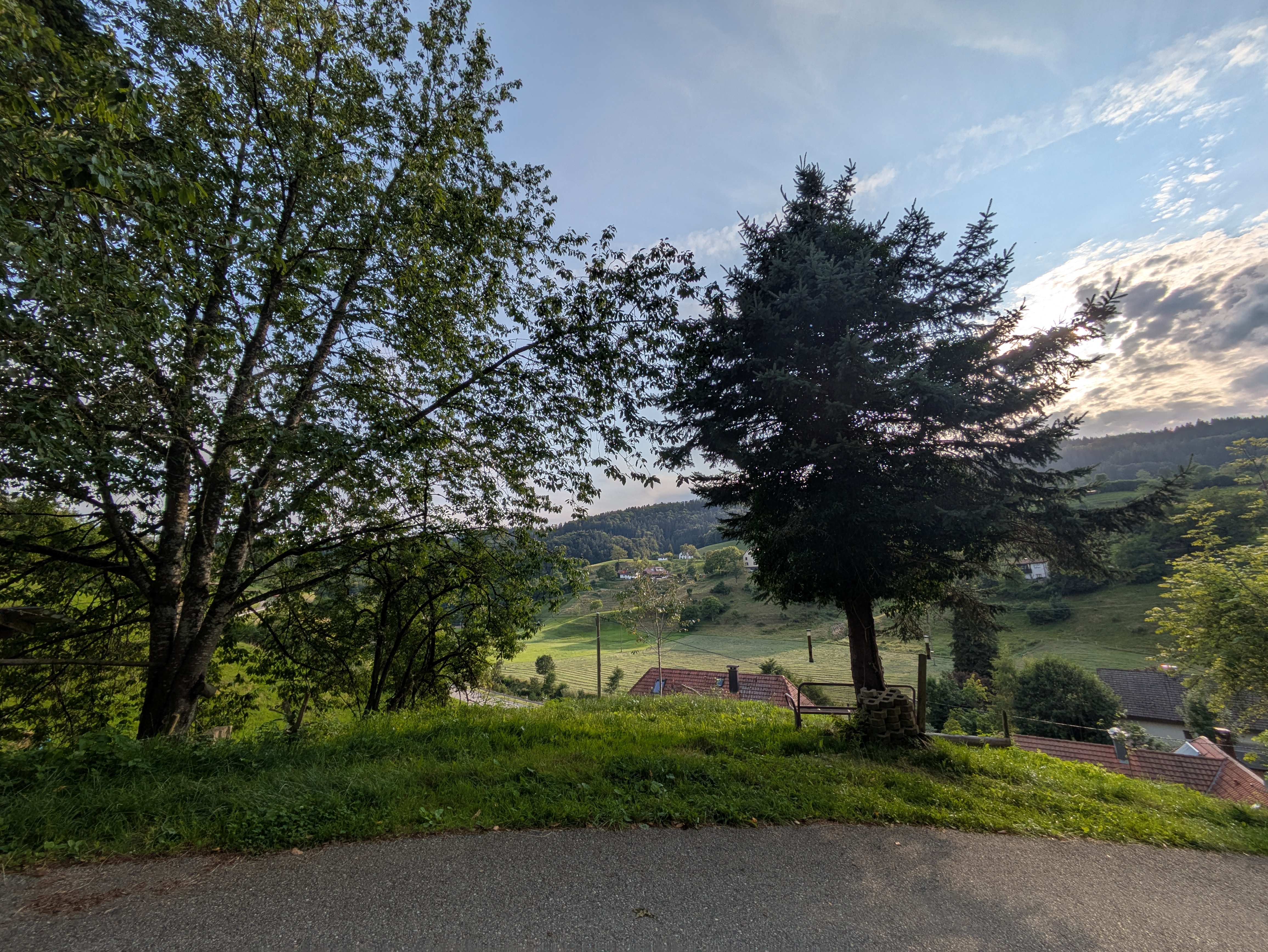Happy Bürchau — photo 4