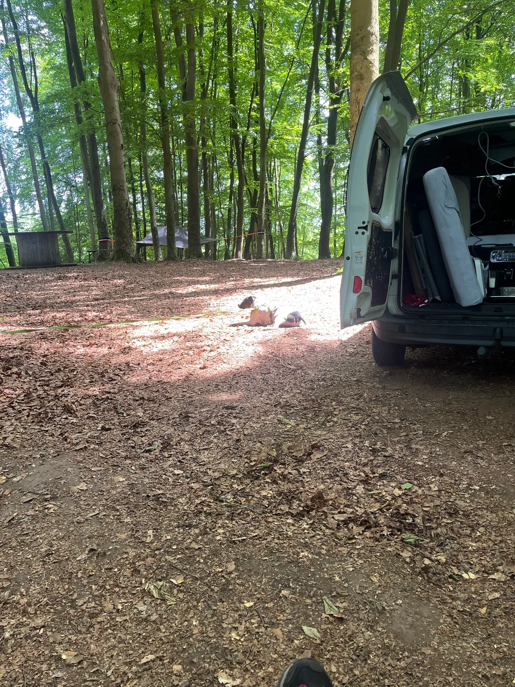 Bild von Tammy für den Spot 1321