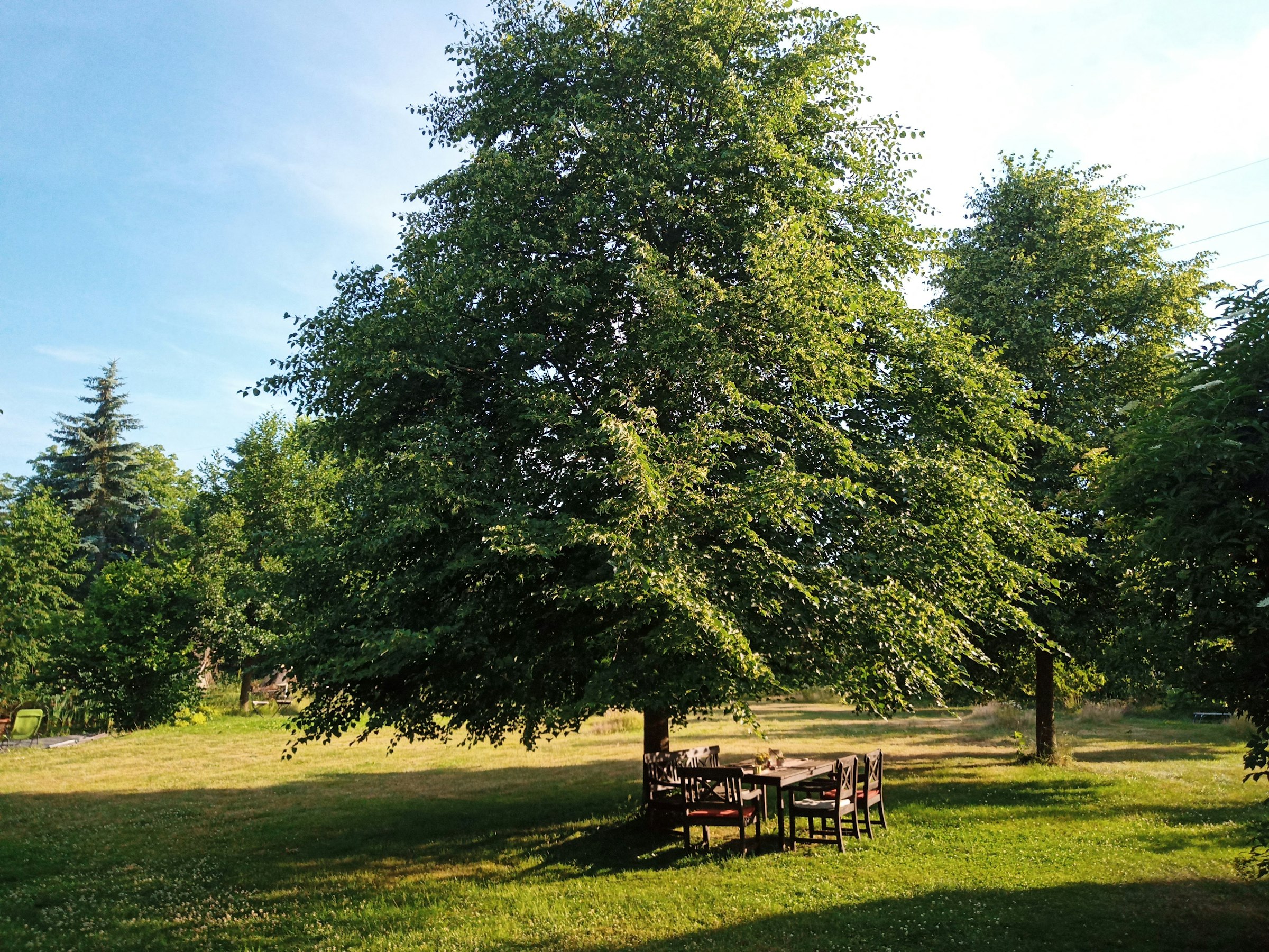 Sichere Wiese mit Naturteich