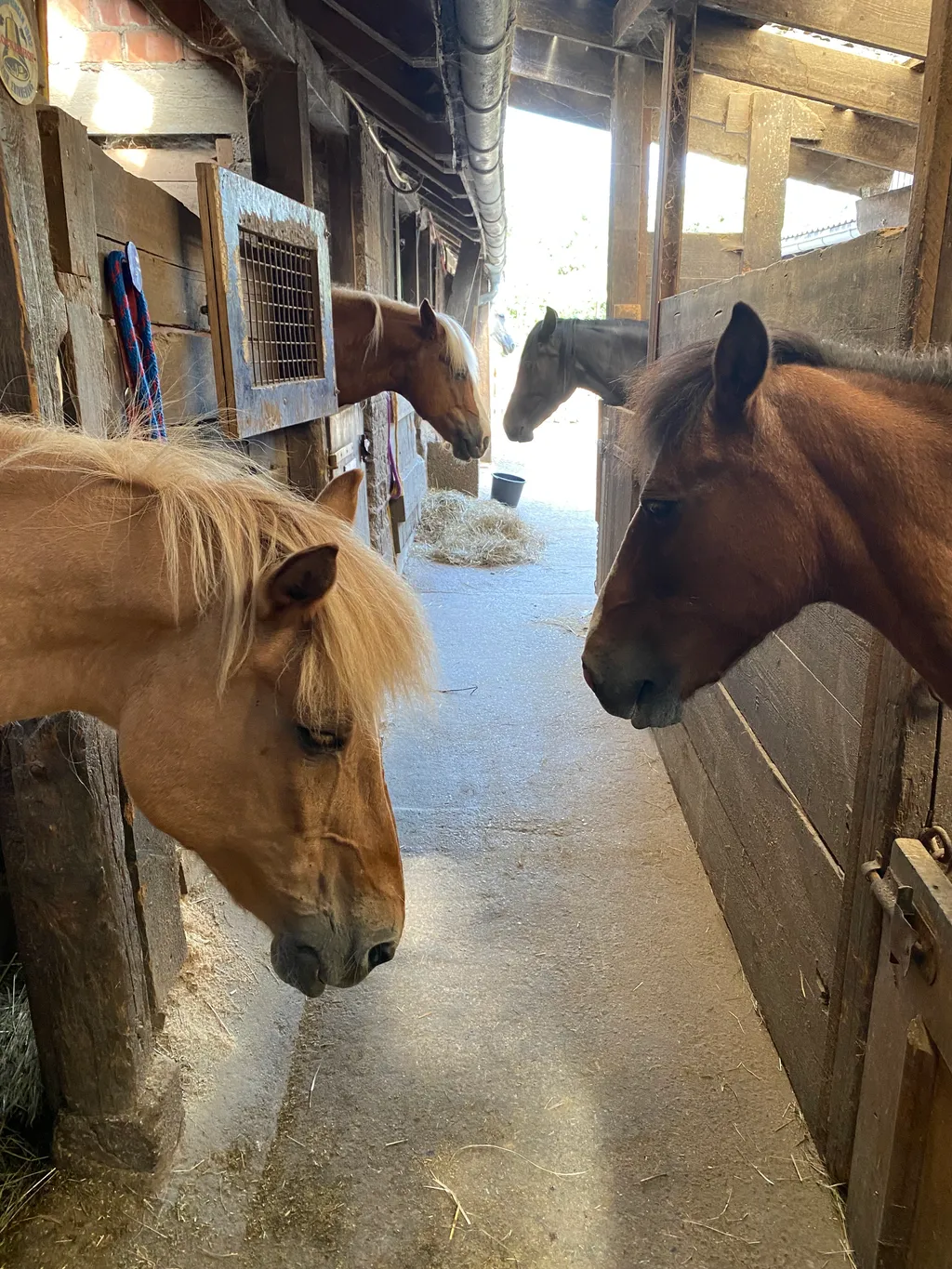 Bild von Sonja für den Spot 3647