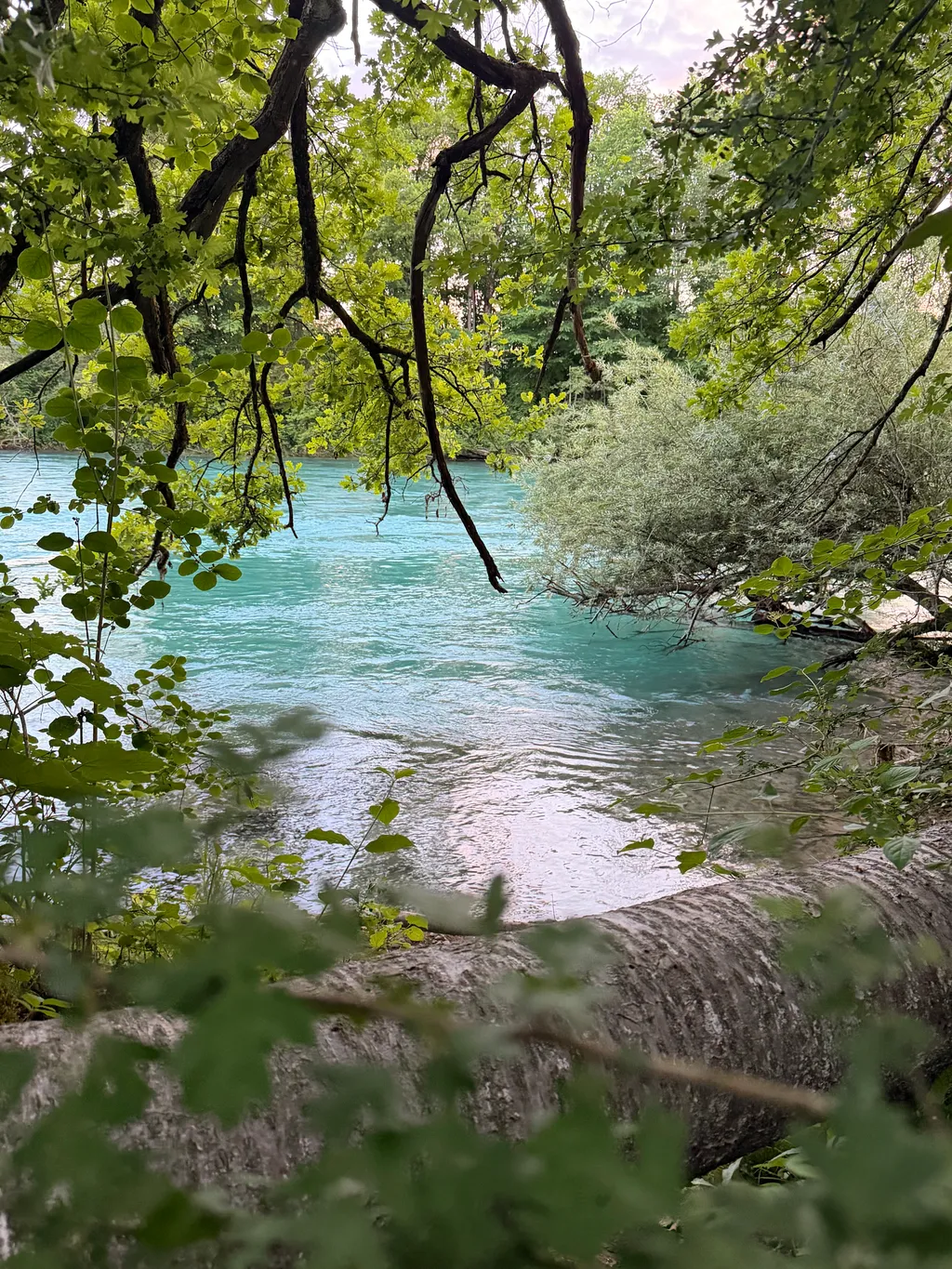 Bild von Bernd für den Spot 4144