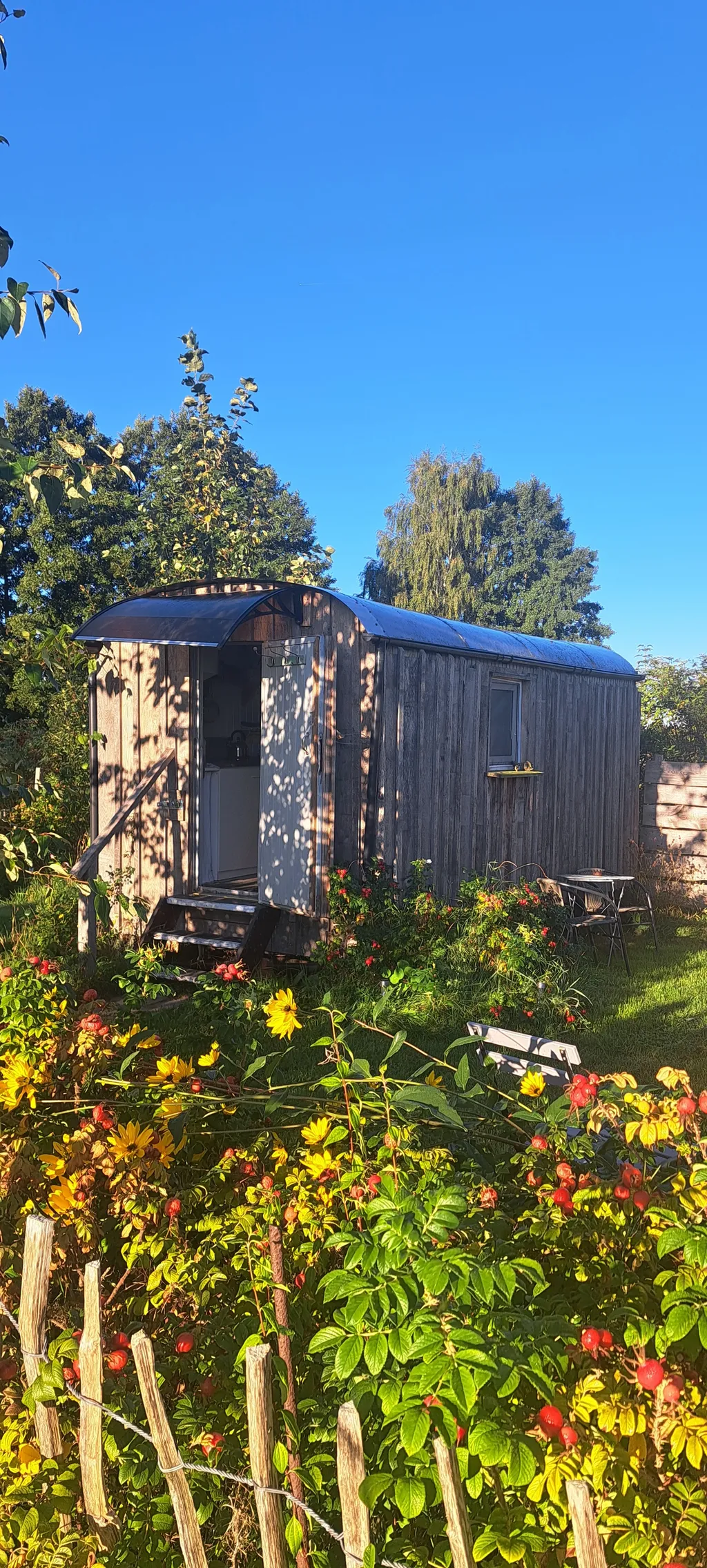 Zirkuswagen am Biosphärenreservat