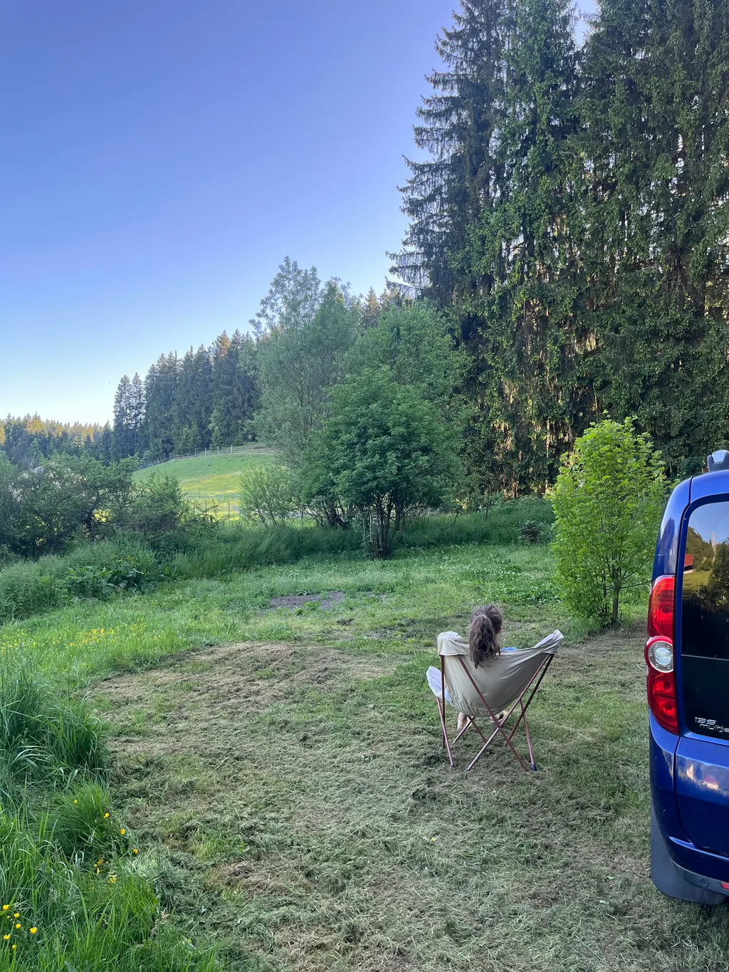 Verschnufplätzle mit Schlehenblick