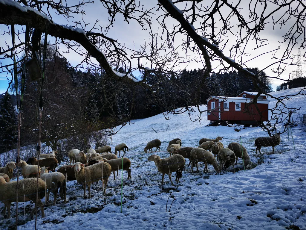 Gemütlicher Schäferwagen mitten in der Natur