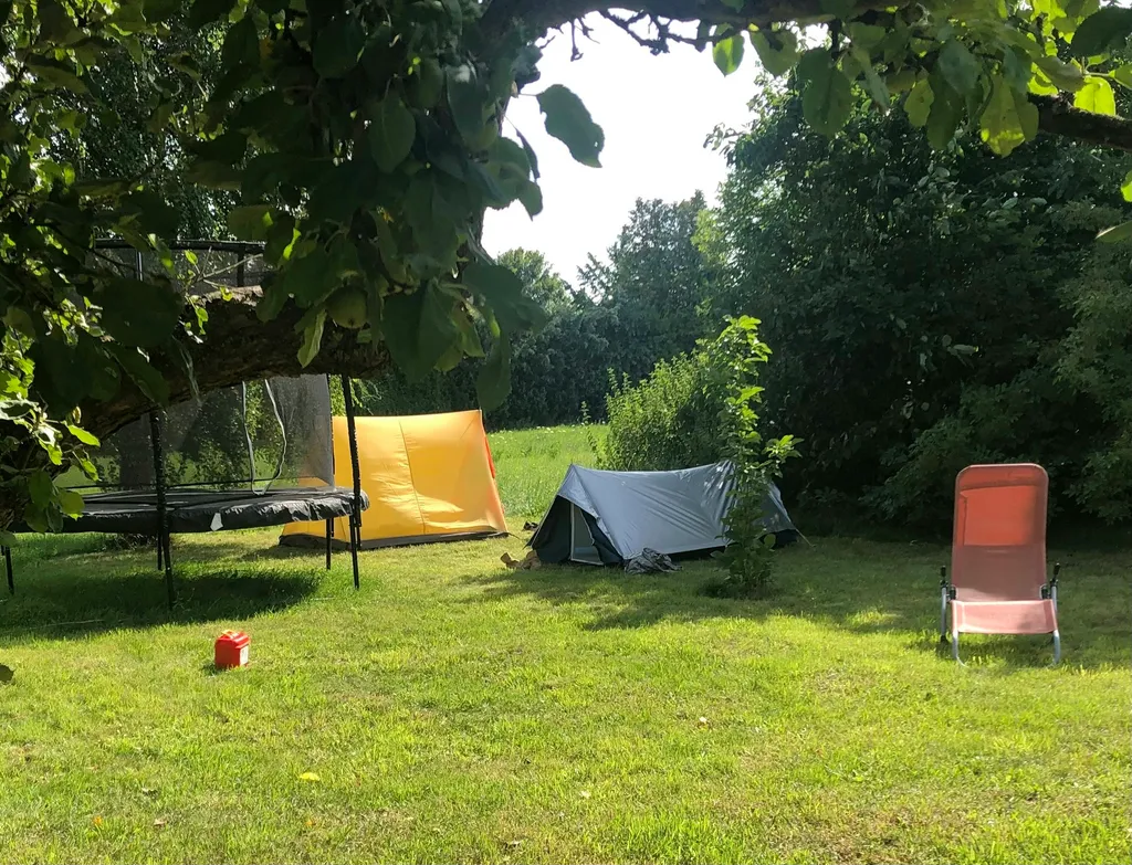 Wiese mit ODER ohne Service