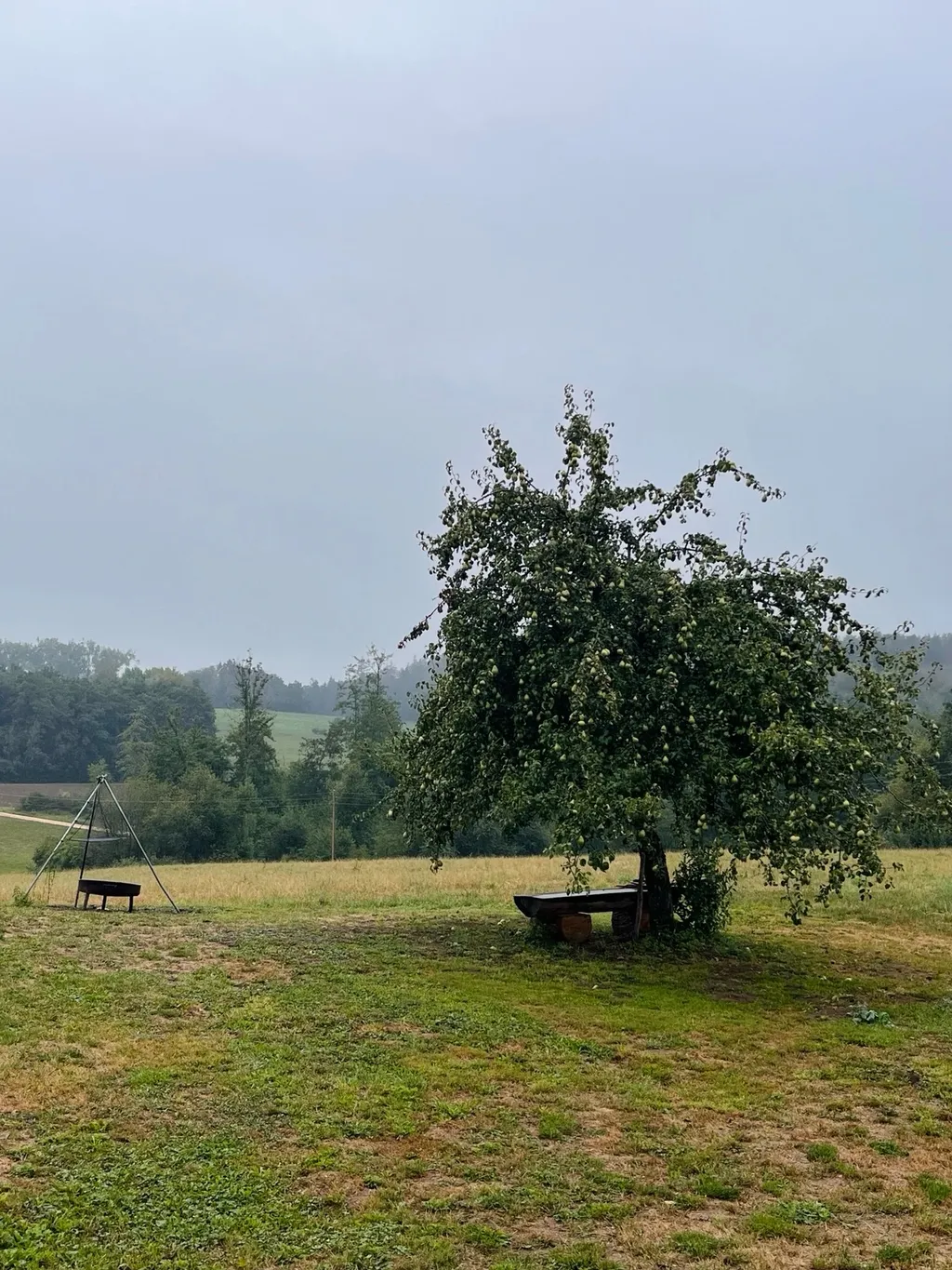 Bild von Quang für den Spot 3697