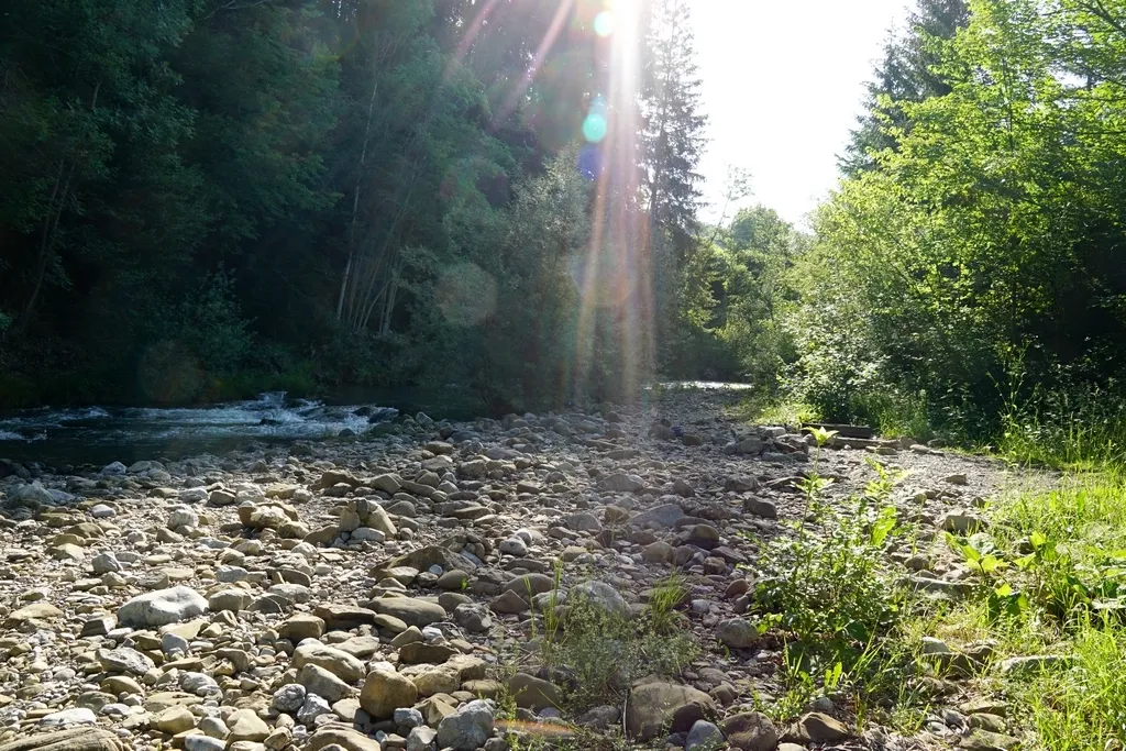 River Camp, direkt an der Sihl