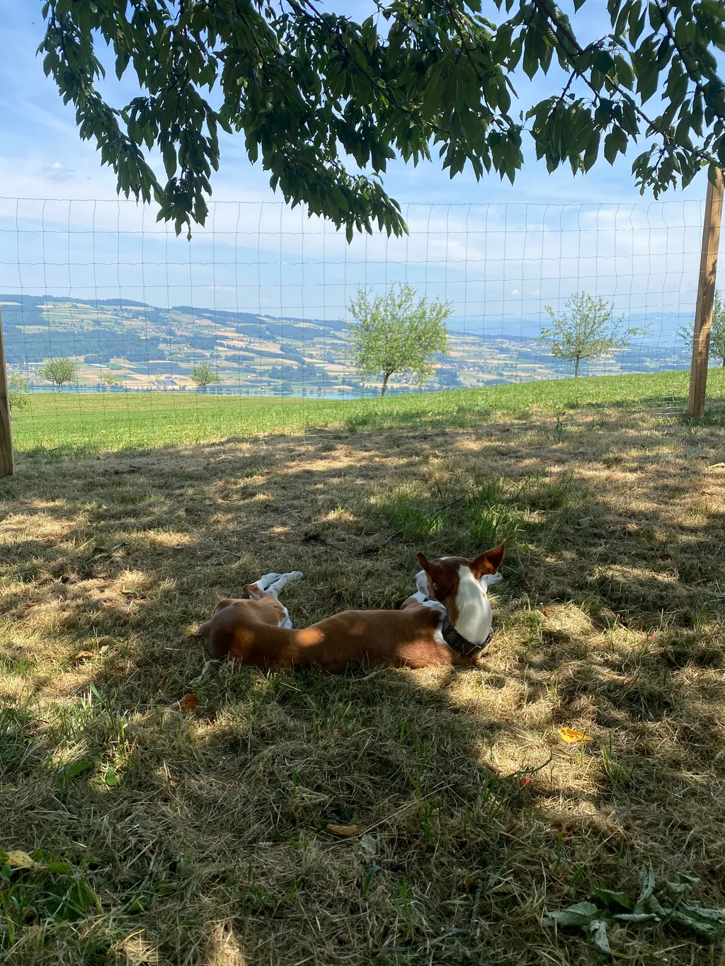 Seeblick & Idylle: Sicherer Wiesenstellplatz