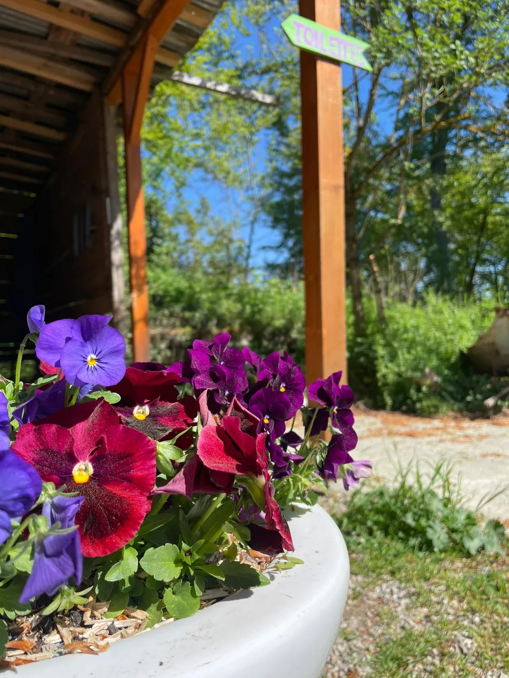 La Fermada micro-ferme permaculture