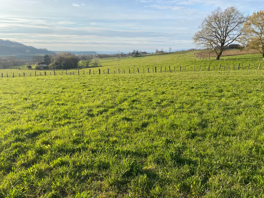 Terrain nature calme pour campeurs autonomes1000m2