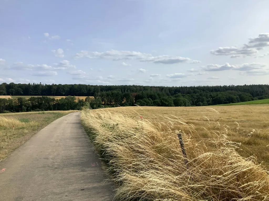Romantischer Platz in der Eifel