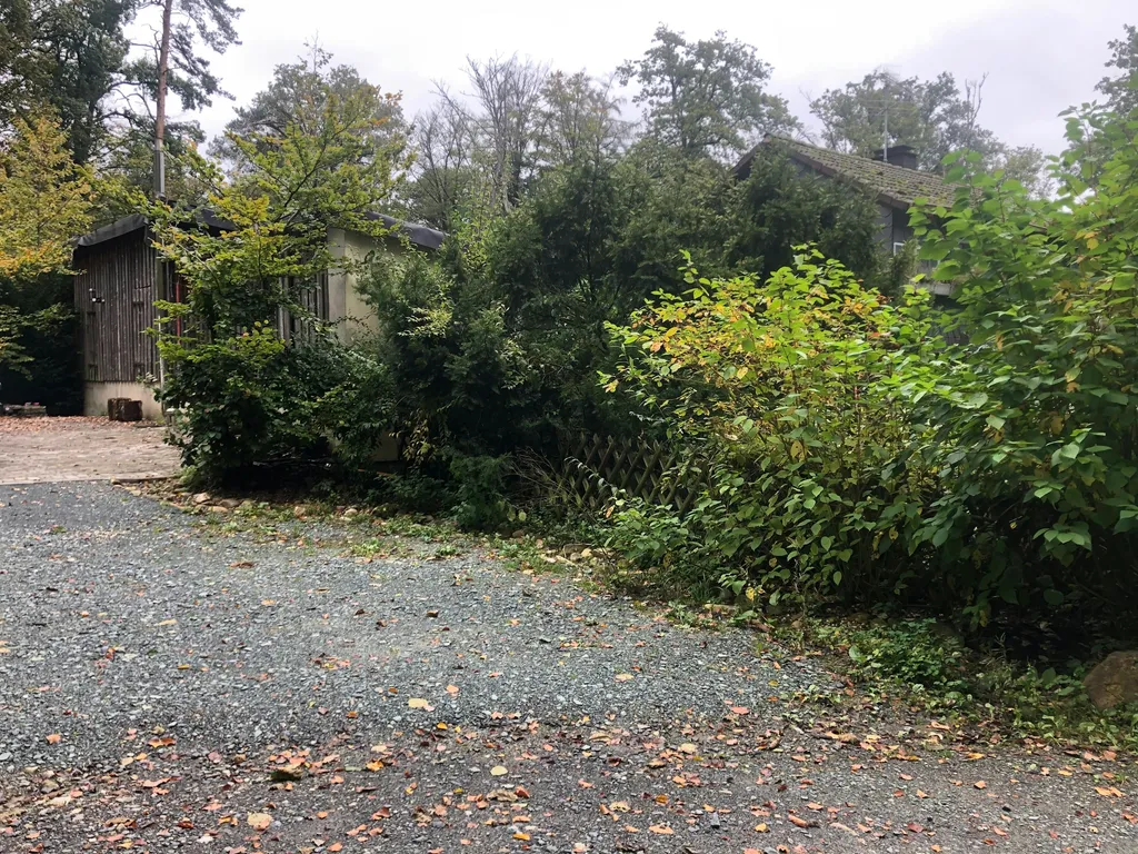 Haus Quelle Hinterhof im Taunuswald