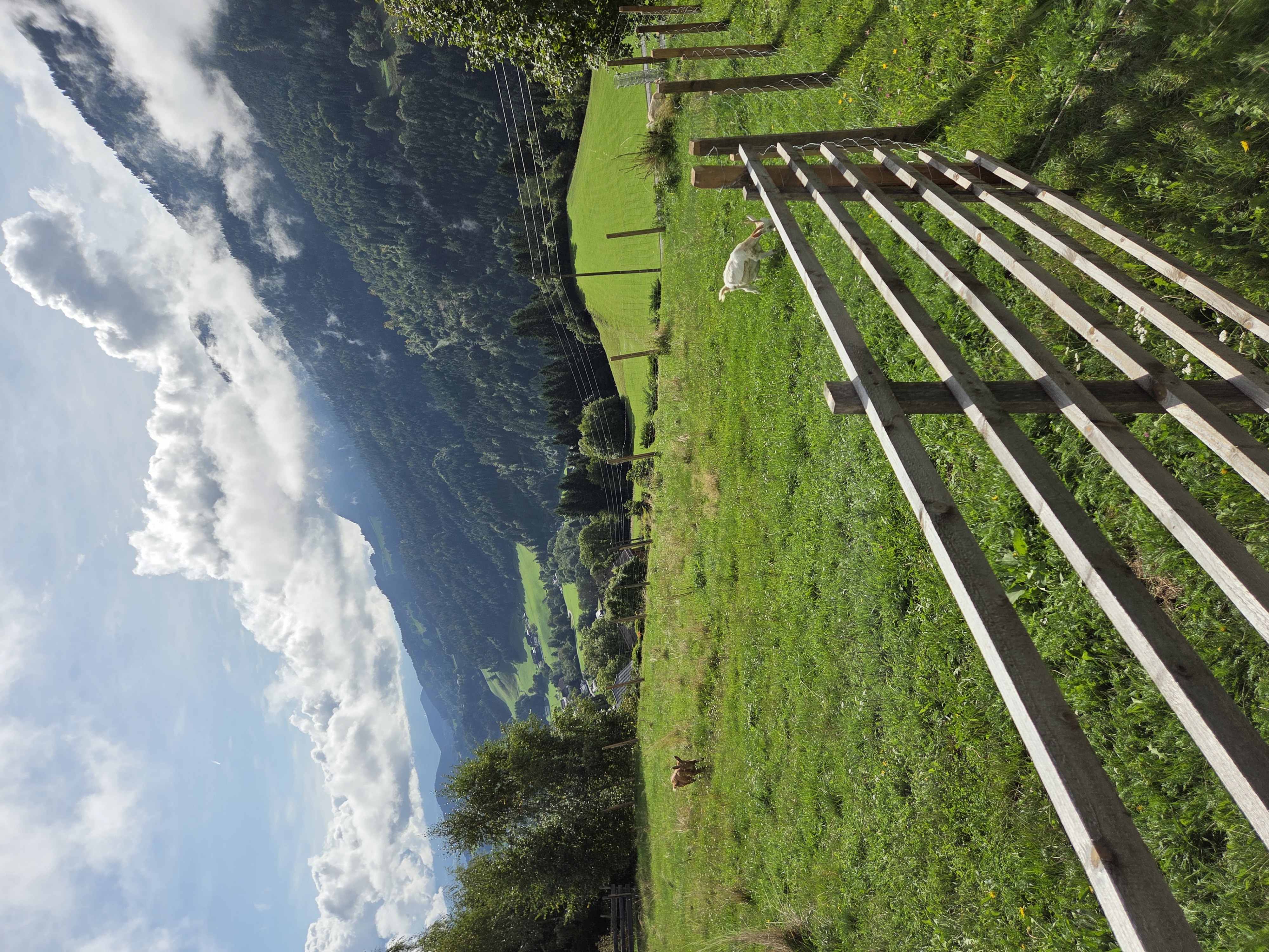 Camp zwischen Wald und Wiese