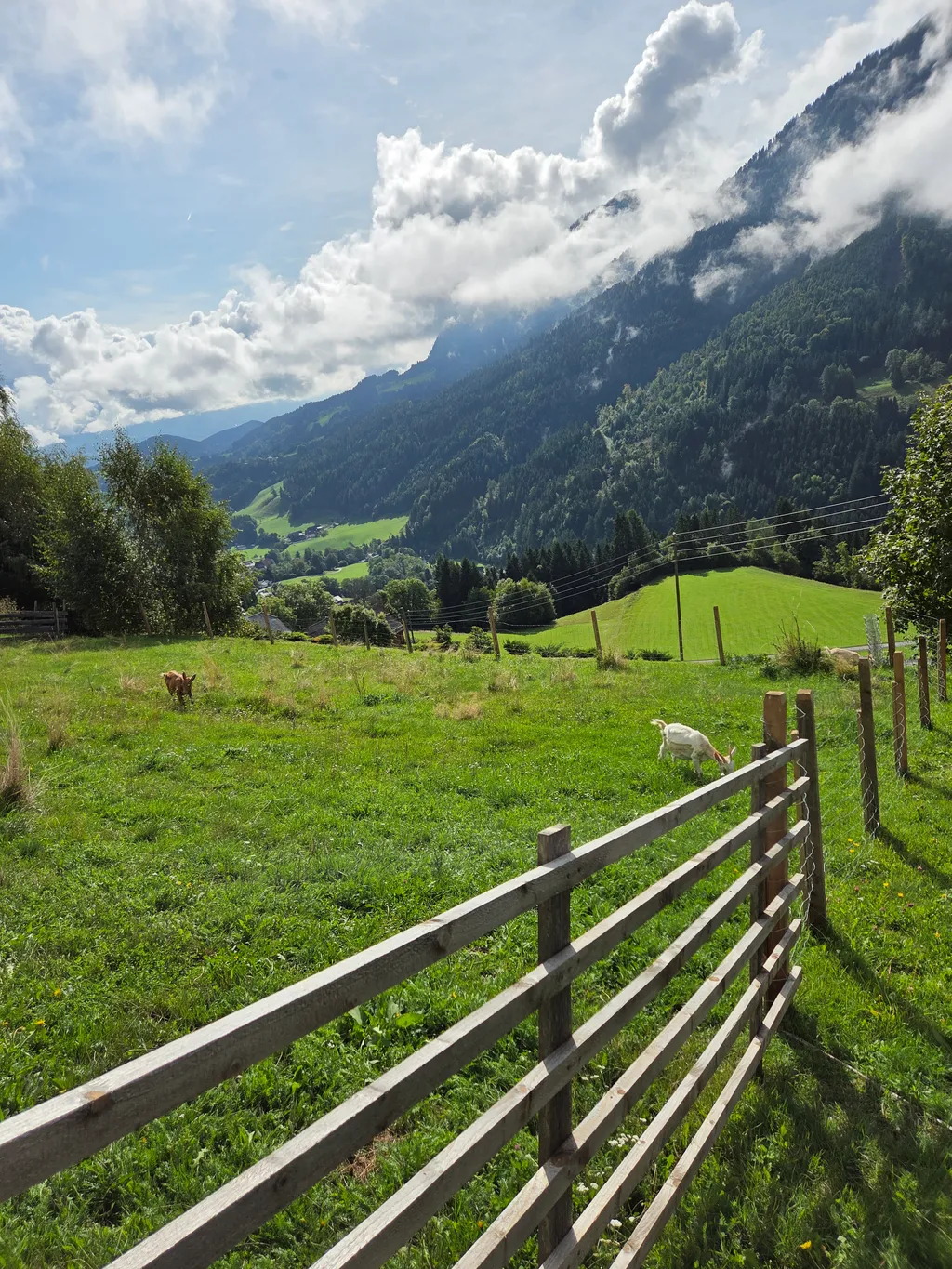 Camp zwischen Wald und Wiese