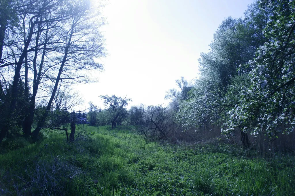 Aufwachen an der Obstwiese