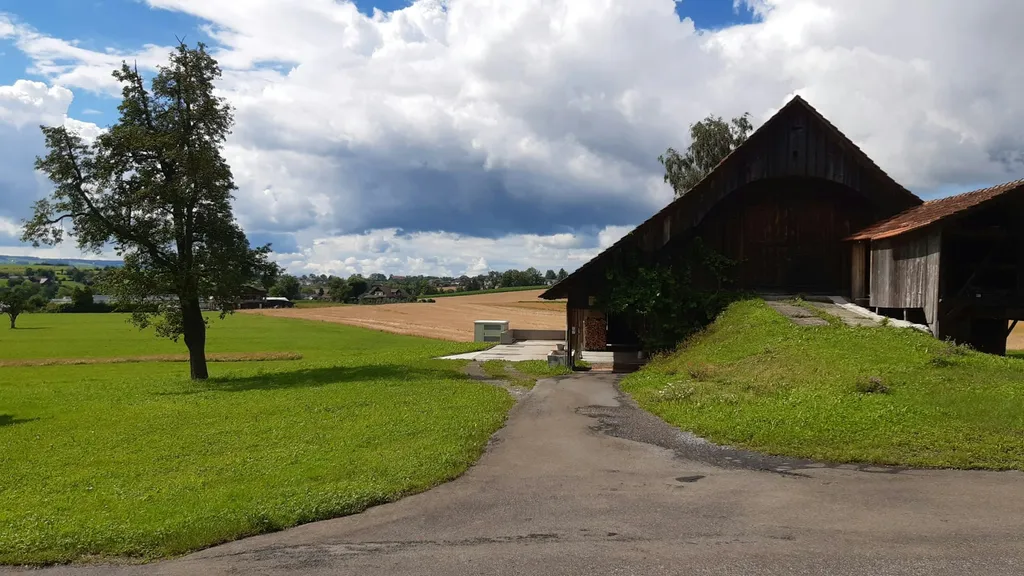 Alp-Panorama / Beim alten Stall