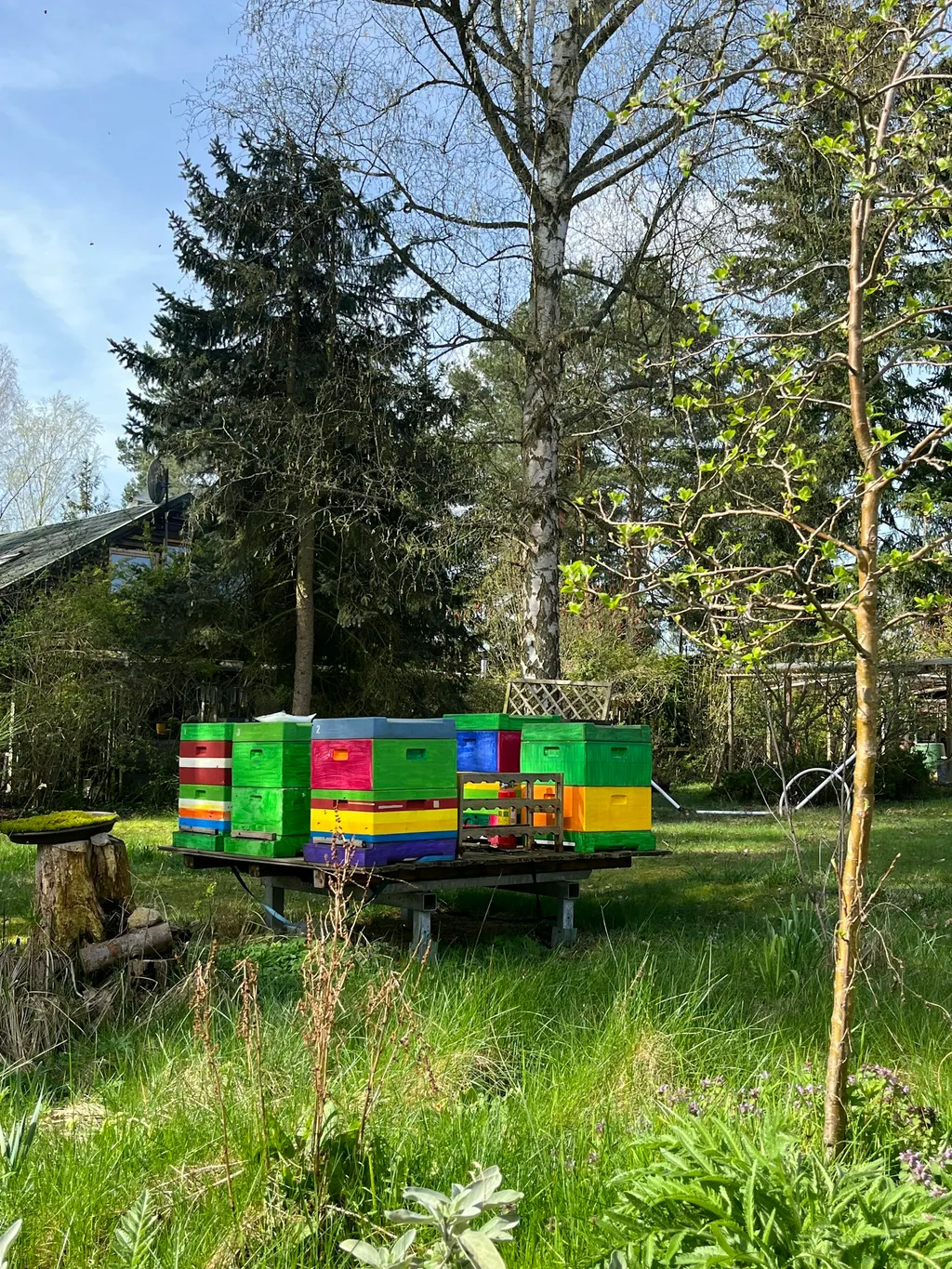 Bienengarten nah am See