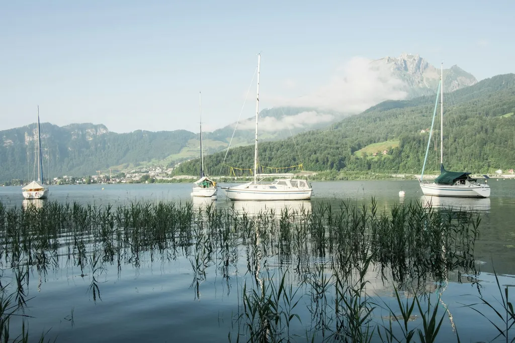 Biohof mit Pilatusblick