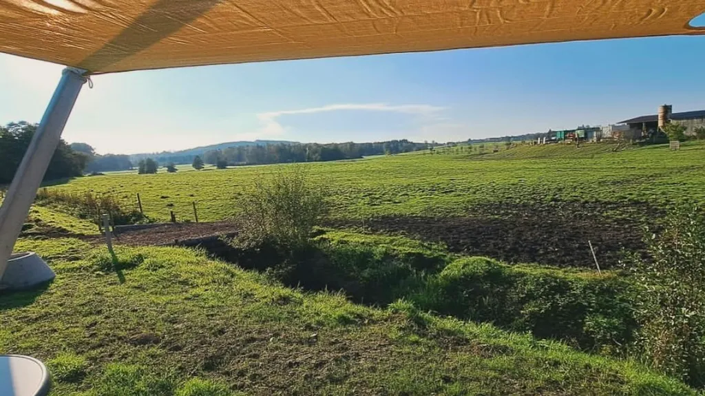 Tiny House mit Riedblick